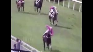 Racehorse Takes A Wrong Turn