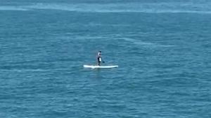 Whale Says Hello To Paddle Boarder