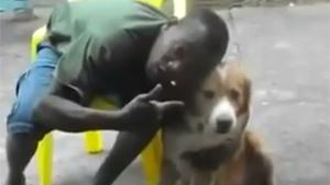 Dog Hates Black People