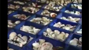 The Dishes In A Chinese Restaurant