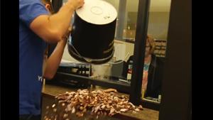 Paying A Fine In Pennies