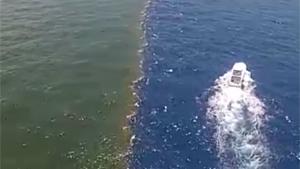 Where The Mississippi Meets The Ocean