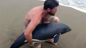Rescuing A Baby Dolphin