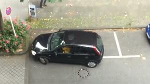 Trying to Park A Small Car