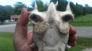 Dog Finds Mysterious Skull