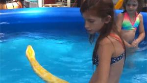 Swimming With 16 Feet Long Python