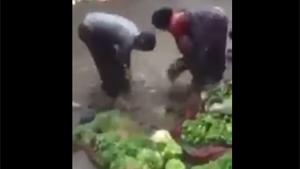 Why You Shouldn't Eat A Salat In India