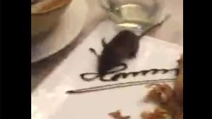 Rat On The Dinner Table