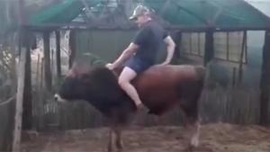 Riding A Young Bull Fail