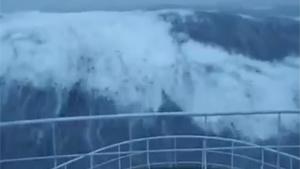 Let's Go On A Cruise They Said