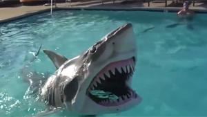 Cool Animatronic Shark Toy