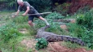 Gramps Attacked By Crocodile