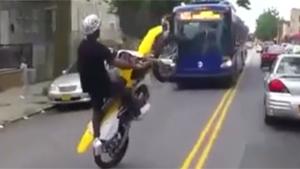 Crazy Manic Doing A Wheelie