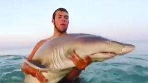 Catching A Baby Shark With Bare Hands