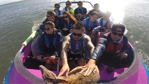 Tourist Boat Rescues Drowning Wallaby