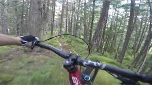 POV Forest Trial