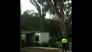 Tree Cutting Fail