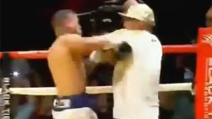 Boxer Start Punching The Coach