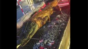 Crocodile Kebabs