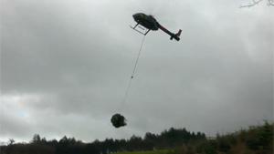 Christmas Tree Heli Transport