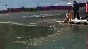 Ice Cold Dive To Rescue Drowning Dog