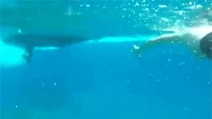 Swimmer Hit By Boat Propellor
