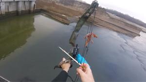 Bizarre Bow Fishing Shot