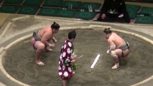 Quick End To Sumo Wrestle Game