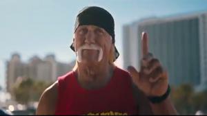 Hulk Hogan Catches Purse Snatcher