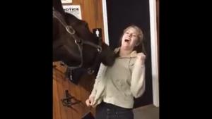 Horse Tries To Undress Girl