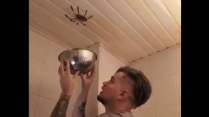 Big Spider Has Vanishing Trick