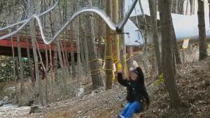 Roller Coaster Zipline