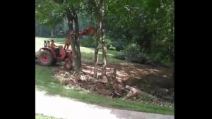 Tree Vs Tractor