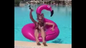 Floating Flamingo Fail