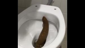 Stuck Floater In The Toilet Bowl