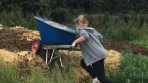 Wheelbarrow With Dung Fail