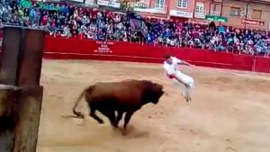 Bull Jump Fail