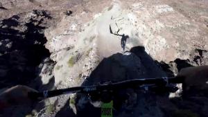 Gravity Defying Down Hill BMX Run