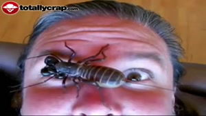 Huge bug crawling on face