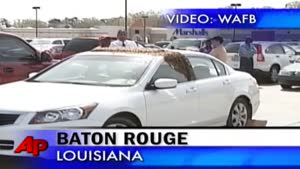 Bees swarm on woman's car