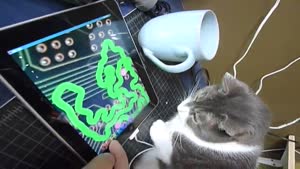 iPad: Luxurious Cat Toy