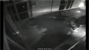 Dumb Robbers Fail Breaking Into Store