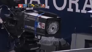 Baseball Bat Damages Expensive Camera