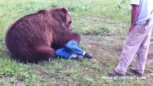 Grizzly Bear Cuddles His Owner