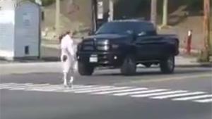 Undercover Cop On Crosswalk Duty