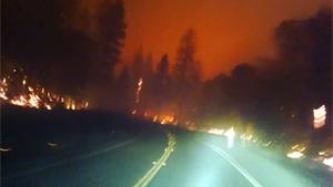 Escaping Forest Fires In California