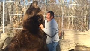 Man Cuddling With Big Brown Bear