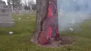 When Lightning Hits A Tree