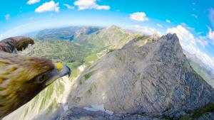 Eagle Eye View On The Alps