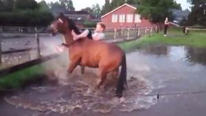 Horse Ride In Water Ends Wet